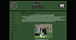Desktop Screenshot of ekemen.pl